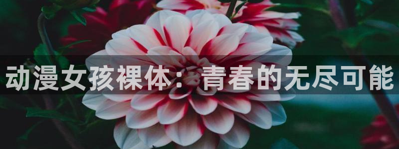 动漫天堂网：动漫女孩裸体：青春的无尽可能