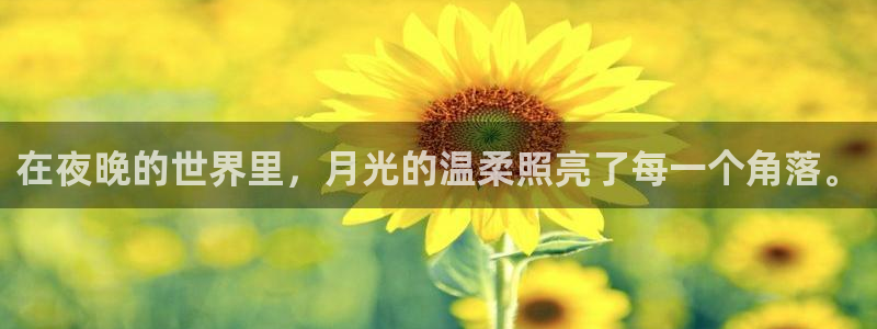 免费动漫天堂之吻：在夜晚的世界里，月光的温柔照亮了每一个角落。