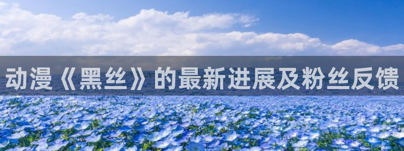 动漫天堂下载：动漫《黑丝》的最新进展及粉丝反馈