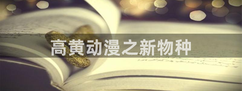 秋叶原动漫天堂：高黄动漫之新物种