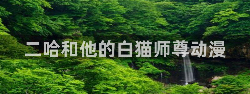 动漫天堂cc：二哈和他的白猫师尊动漫