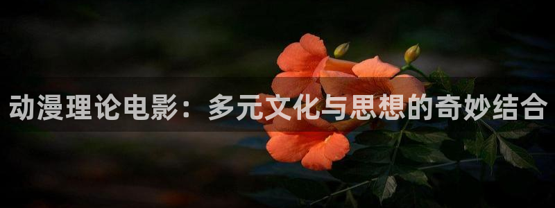 同人动漫天堂：动漫理论电影：多元文化与思想的奇妙结合