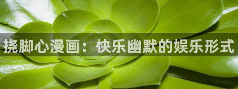动漫天堂之吻：挠脚心漫画：快乐幽默的娱乐形式