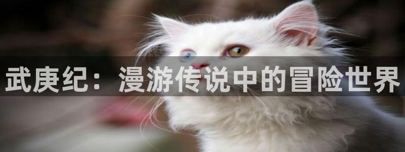 成人动漫天堂网：武庚纪：漫游传说中的冒险世界