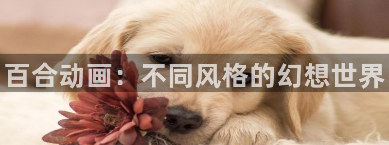 www.动漫天堂：百合动画：不同风格的幻想世界