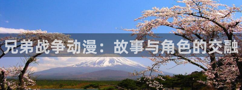黄动漫天堂：兄弟战争动漫：故事与角色的交融