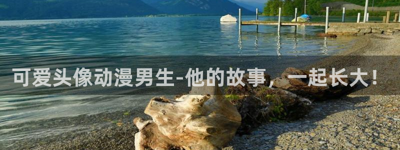 动漫天堂软件：可爱头像动漫男生-他的故事，一起长大！