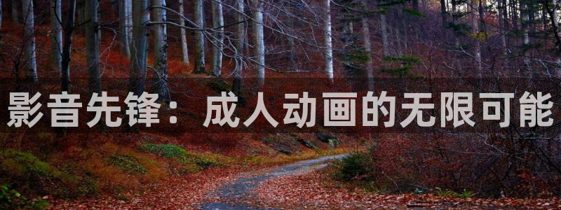 动漫天堂免费在线观看：影音先锋：成人动画的无限可能