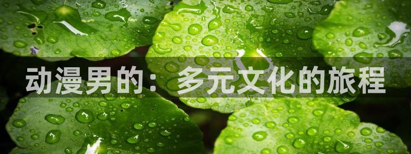 3d动漫天堂网：动漫男的：多元文化的旅程