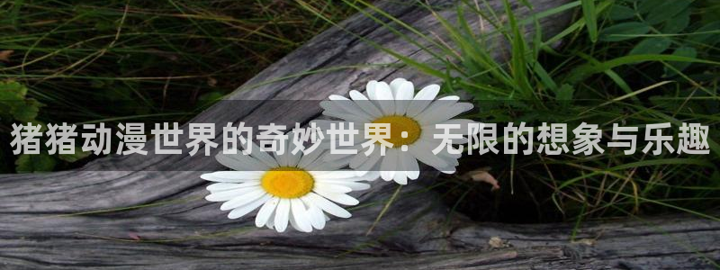 jk动漫天堂：猪猪动漫世界的奇妙世界：无限的想象与乐趣