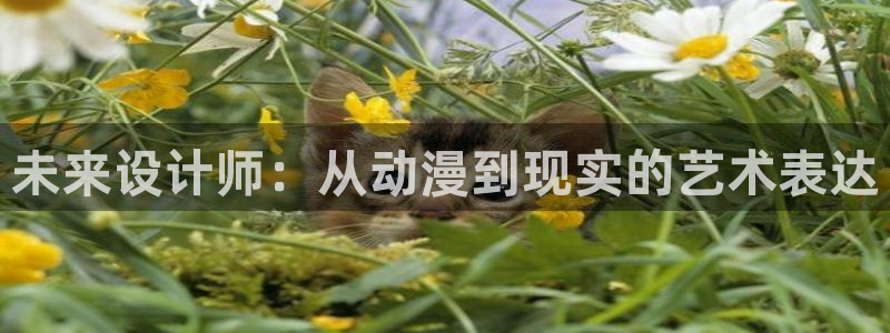 动漫天堂电影：未来设计师：从动漫到现实的艺术表达