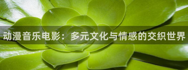 禁动漫天堂：动漫音乐电影：多元文化与情感的交织世界