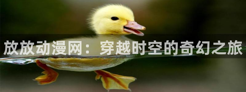 动漫天堂免费版：放放动漫网：穿越时空的奇幻之旅