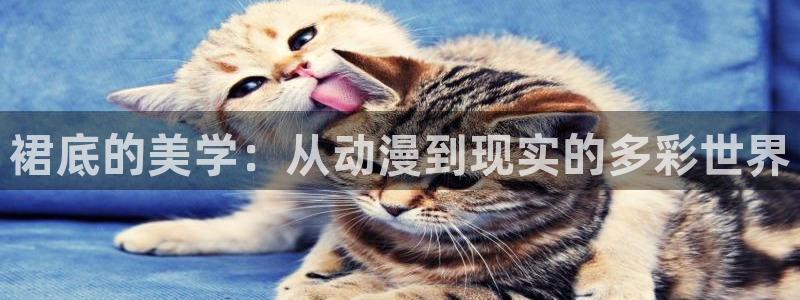 h动漫天堂：裙底的美学：从动漫到现实的多彩世界