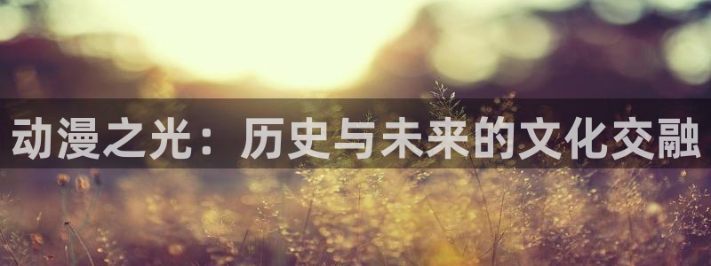91动漫天堂：动漫之光：历史与未来的文化交融