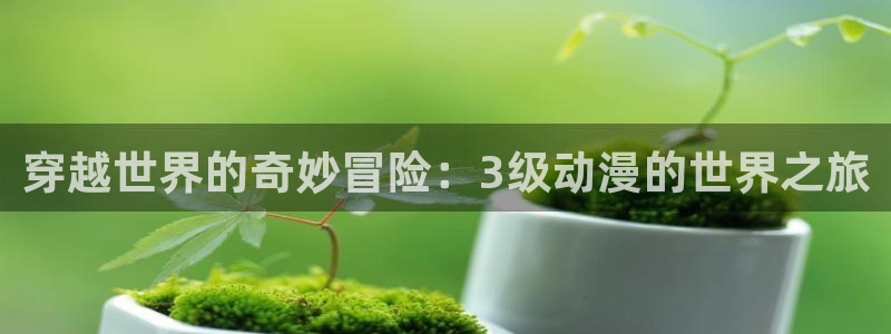 黄动漫天堂：穿越世界的奇妙冒险：3级动漫的世界之旅