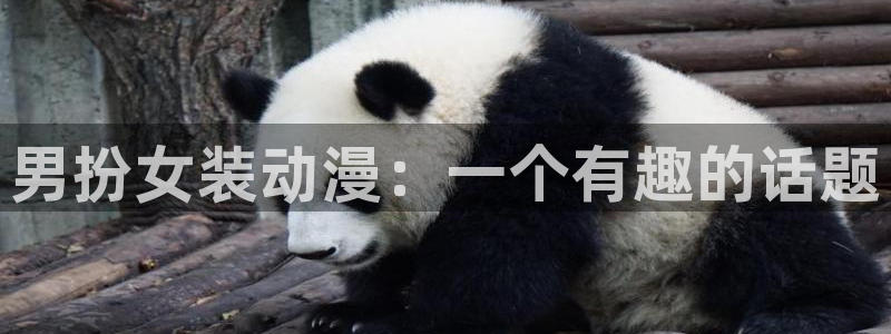 coco动漫天堂：男扮女装动漫：一个有趣的话题